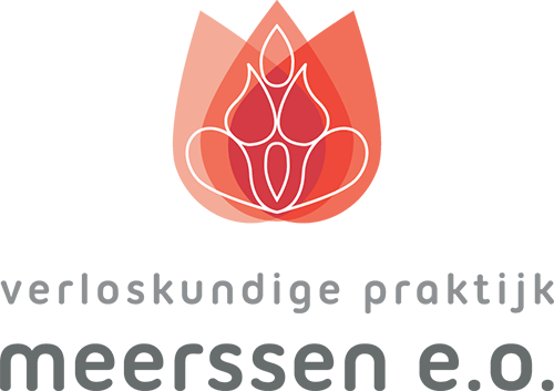 logo_vpmeerssen